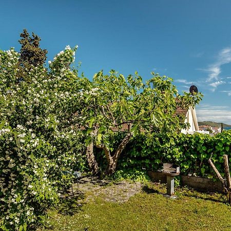 Green Garden Apartments Herceg Novi Kültér fotó