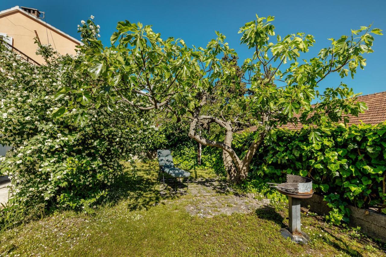 Green Garden Apartments Herceg Novi Kültér fotó