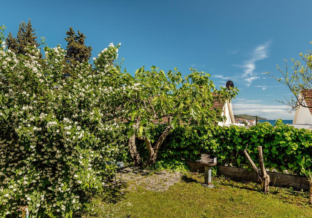 Green Garden Apartments Herceg Novi Kültér fotó